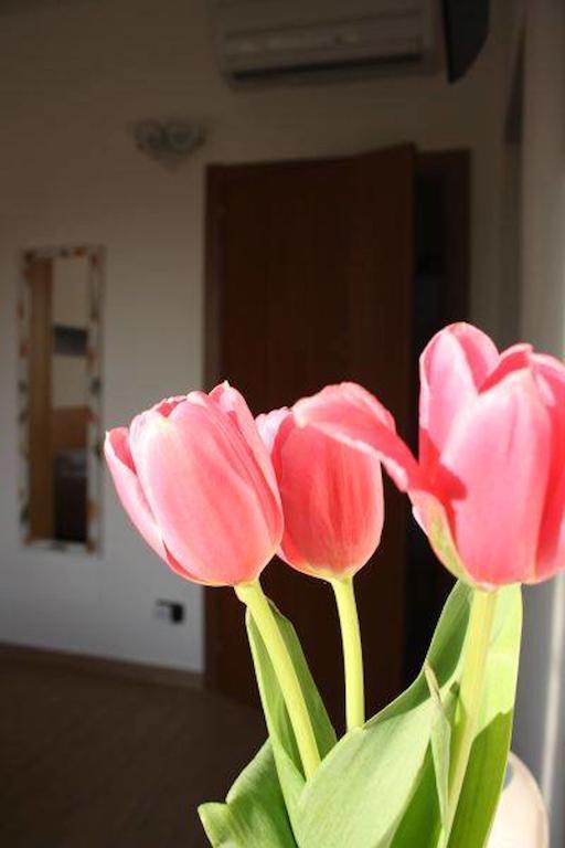I Due Orfici Bed & Breakfast Cona  Bagian luar foto